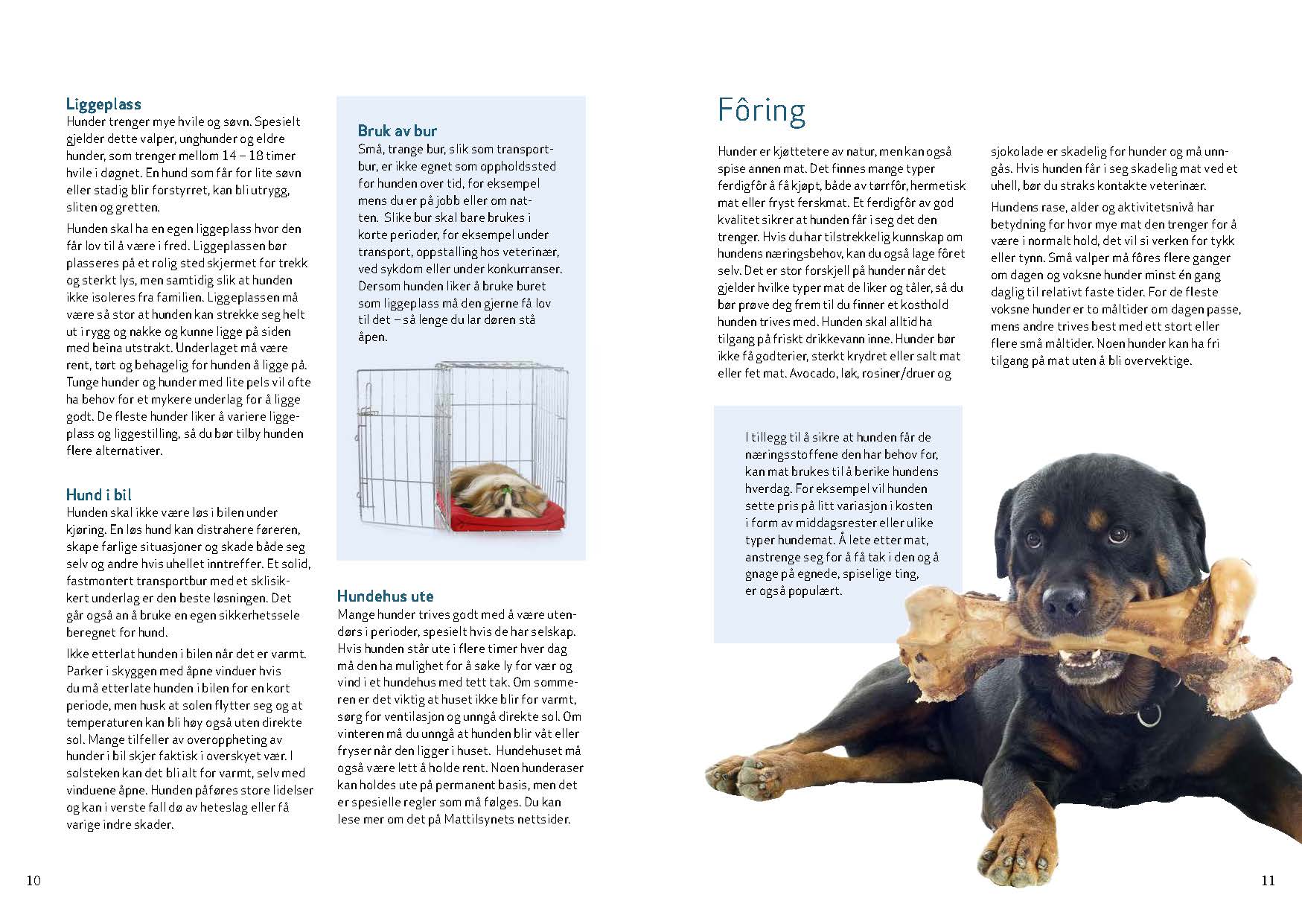 strømhalsbånd til hund